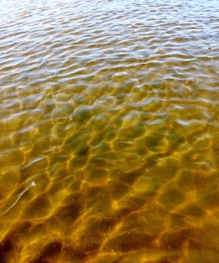 Dinyeper 'in şeffaf su yüzeyinin panoramik bir arka planı. Temiz kumlu bir taban üzerinde, küçük dalgalarda ışıldayan güneş ışınlarıyla süslenmiş..