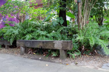 Çimento yolunun yanındaki demiryolu bağından yapılmış, eğrelti otu ve ağaçla çevrili, Tayland 'da halka açık bir park. Görünüm dışında.