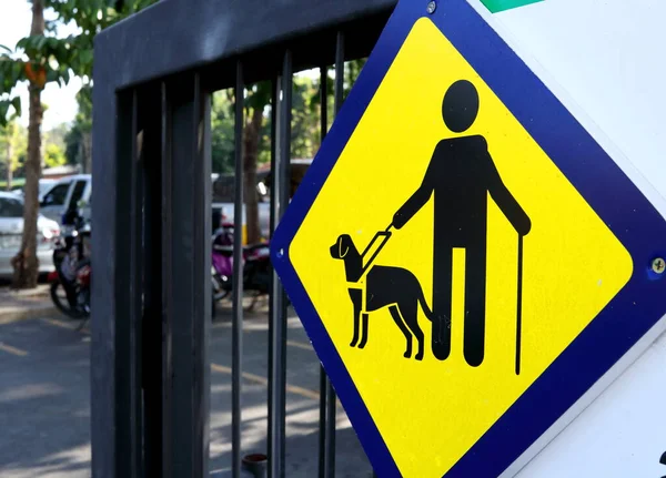 Τυφλός Άνθρωπος Και Σκύλος Υπογράψει Κίτρινο Τετράγωνο Σχήμα Πλάκα Κρέμεται — Φωτογραφία Αρχείου