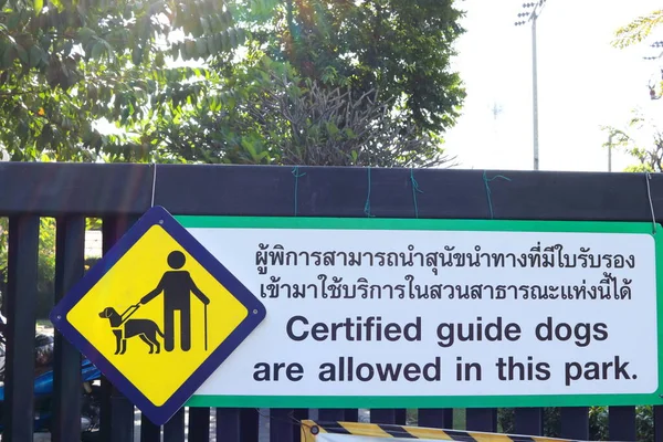 タイ語と英語が同じ意味で白い背景と黒いフェンスにかかって緑のラインフレームに黄色の正方形の形状のブラインド男と犬のサイン — ストック写真