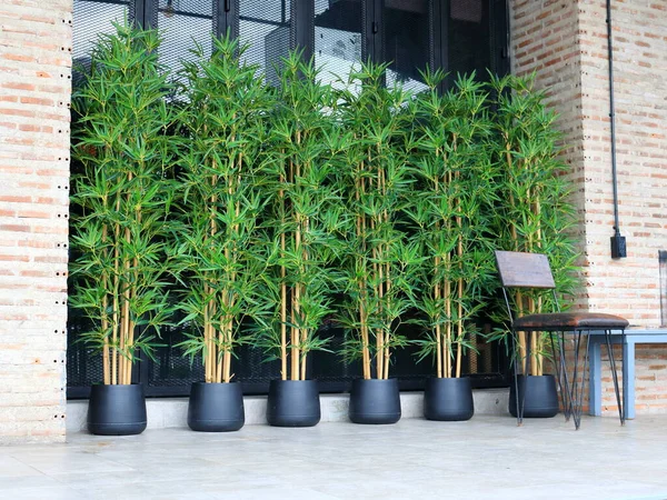 Stile Giapponese Albero Bambù Artificiale Vaso Nero Fila Specchio Dietro Immagini Stock Royalty Free