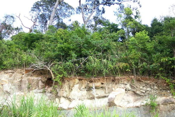 Soil erosion in forest and natural environment, Thailand.
