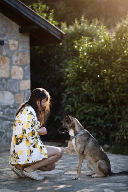 Güneşli arka bahçede diz çökmüş bir kadın Goberian köpeği patisini sunarken, güven ve bağ ile dolu bir eğitim anı kırsal taştan evin yanında