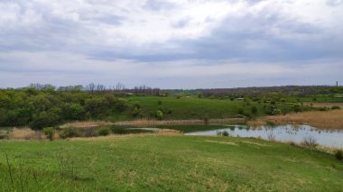 Bulutlu gökyüzü ile çayırlar ve ormanlar manzarası