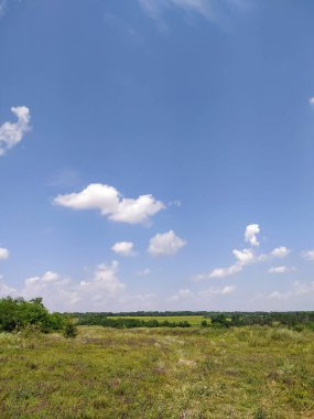 Bulutlu gökyüzü ile çayırlar ve ormanlar manzarası