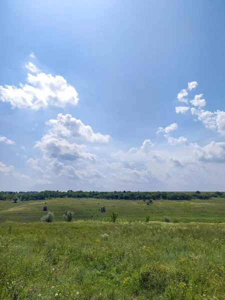 Bulutlu gökyüzü ile çayırlar ve ormanlar manzarası