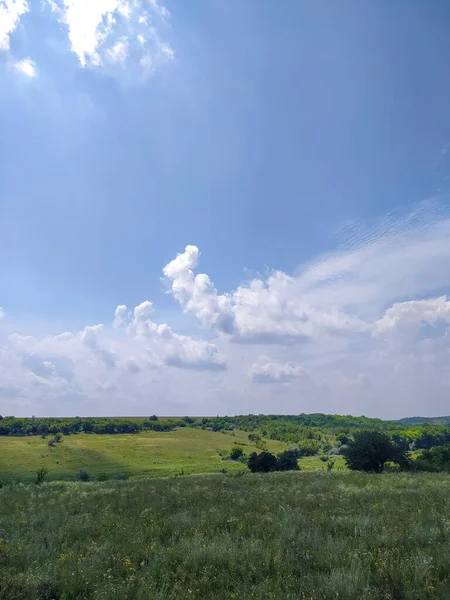 曇り空のメドウズと森の風景 — ストック写真