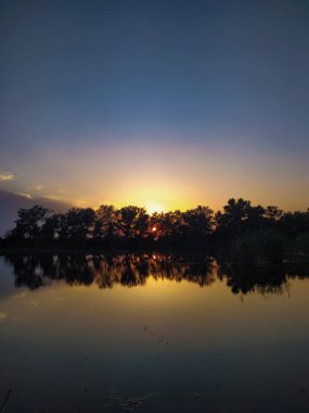 Kıyı şeridi ormanından güzel gün batımı