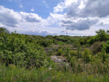 Güzel orman günbatımı manzarası