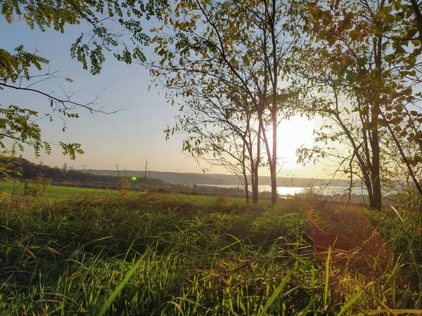 Prachtig Bos Zonsondergang Landschap — Stockfoto