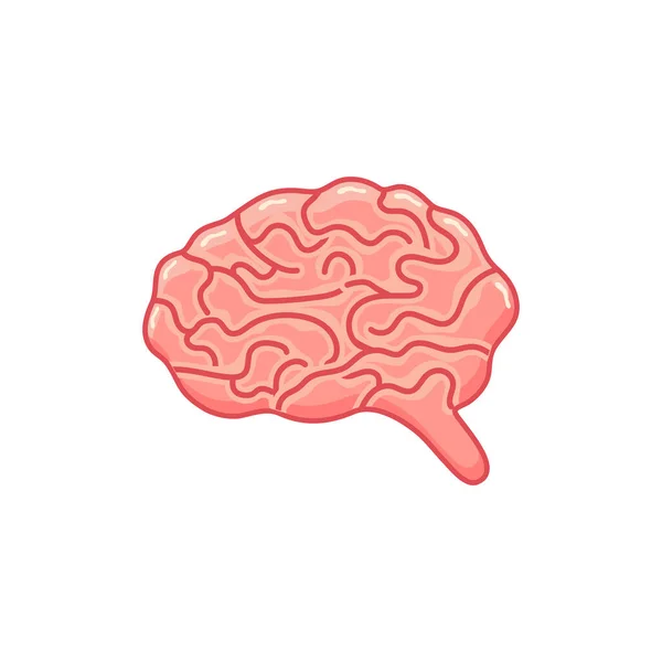 Значок Мозга Графических Проектов Вектор — стоковый вектор