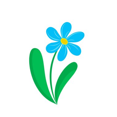 Düz minimalist tarzda, beyaz bir arka planda izole edilmiş vektör çiçeği. Mavili tek bir çiçeğin basit bir şekilde tasviri. Papatya çayı