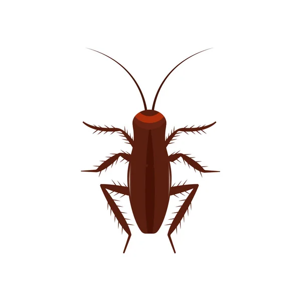 蟑螂昆虫病媒图标高于害虫 棕色动物顶视图卡通虫 扁平体寄生虫污染 — 图库矢量图片