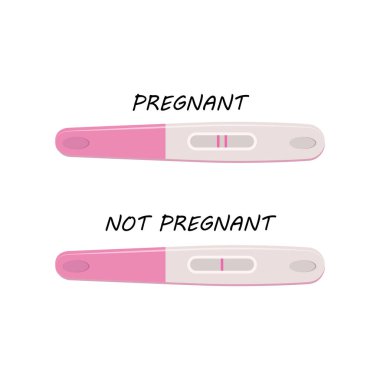 Pregnancy plastic test isolated on white background, Positive and negative, vector flat illustration