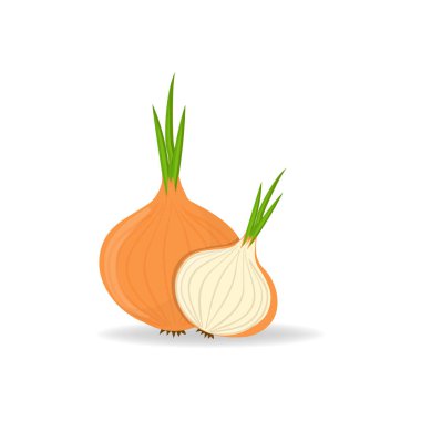 Soğan. Tam soğan ve doğranmış soğan. Basit bir tasarım. Organik çiftlik taze sebzelerinin vektör çizimi