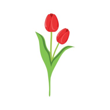 Güzel lale çiçeği karikatür vektör tasarım resmi çiziyor.