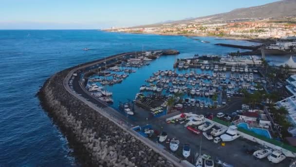 Marina Playa Las Americas Tenerife Kanári Szigetek Kiváló Minőségű Fullhd — Stock videók