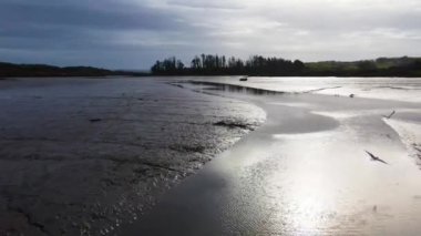 Flying Over the Low Tide River dispersing seagulls in the direction of a stuck boat.Ireland. Cork. Aerial Drone. High quality 4k footage