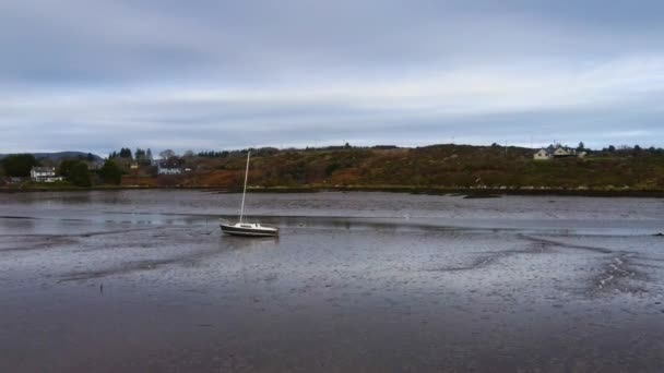 Flying Low Tide River Dispersing Seagulls Direction Stuck Boat Ireland — 비디오