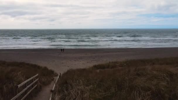 Беспилотник Летит Тропе Летит Океану Ирландскому Пляжу Высококачественные Кадры — стоковое видео