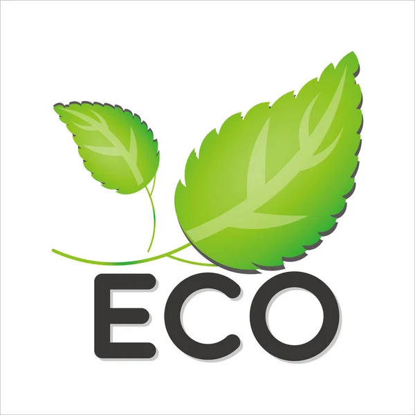 Eco Icoon Vector Illustratie Symbool — Stockvector