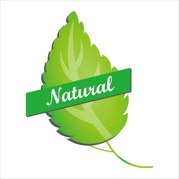 Naturprodukt Gesundes Essen Symbol Vektor Illustration Symbol — Stockvektor