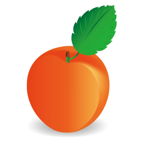 Pfirsich Aprikose Frucht Symbol Vektor Illustration Symbol — Stockvektor