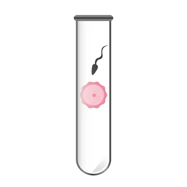 Műtrágyázás Spermatozon Petesejt Ikon Vektor Illusztráció Szimbólum — Stock Vector