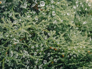 Ağ damlaları kayboldu