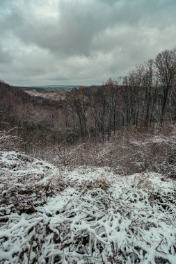 Tepeden aşağıya, karla kaplı çalıların arasından 