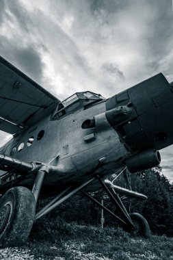 Gökyüzüne bakmak bir daha asla uçamayacak.