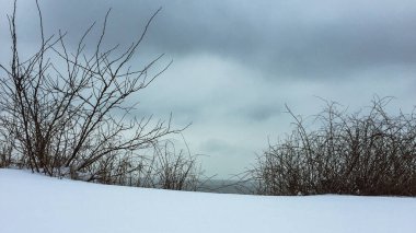 Gökyüzü, deniz ve karla kaplı sahil