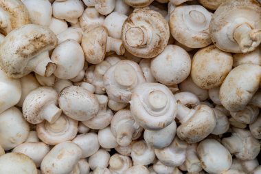 Şampiyonlar - bir bakkalda üst görünüm