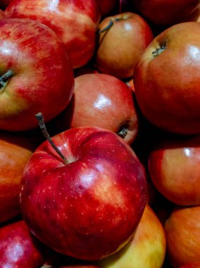 Büyük ve olgun kırmızı-sarı elmalar
