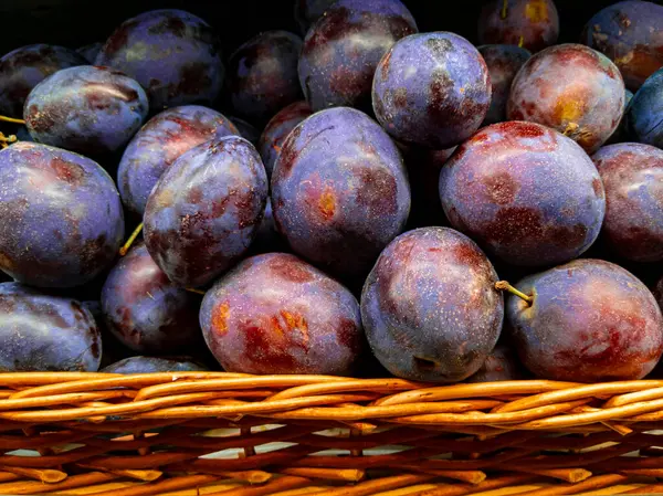 Ripe Large Blue Plums Basket Stock Picture