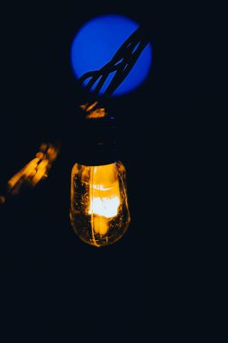 Close-up of LED bulb in dark ambiance