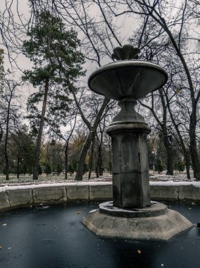 Yapraksız Şehir Parkı 'nda Terk Edilmiş Kış Çeşmesi