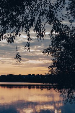 Huysuz Günbatımı Gökyüzü Siluetli Dallar Tarafından Çerçevelendi