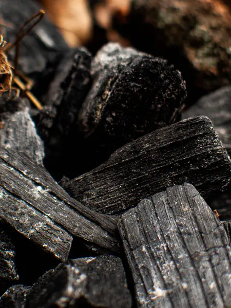 Doğal Açık Hava Işığında Yanmış Ahşap Parçalar