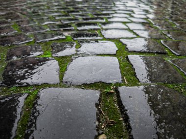 Antik kaldırım taşları taze bahar yağmurunun altında parıldıyor
