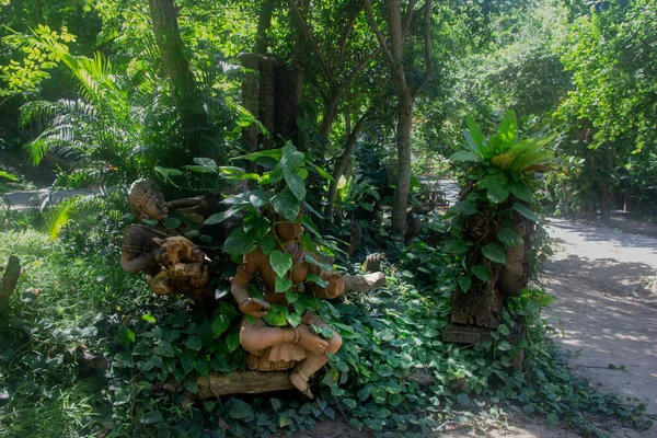Statue Bouddha Bois Parmi Les Plantes Bouddha Dans Nature Pattaya — Photo