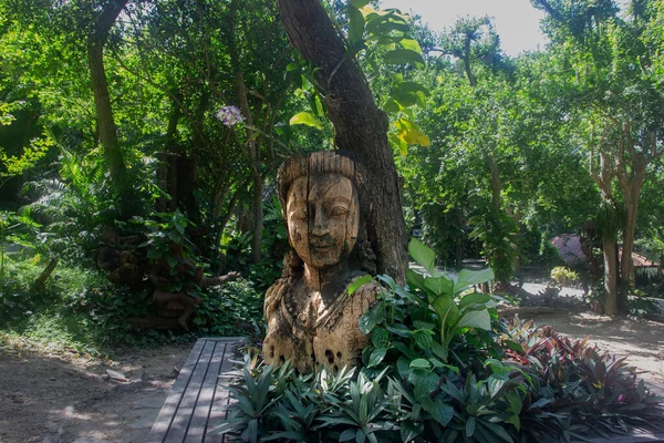 Buddha Statue Aus Holz Inmitten Von Pflanzen Der Kopf Des — Stockfoto
