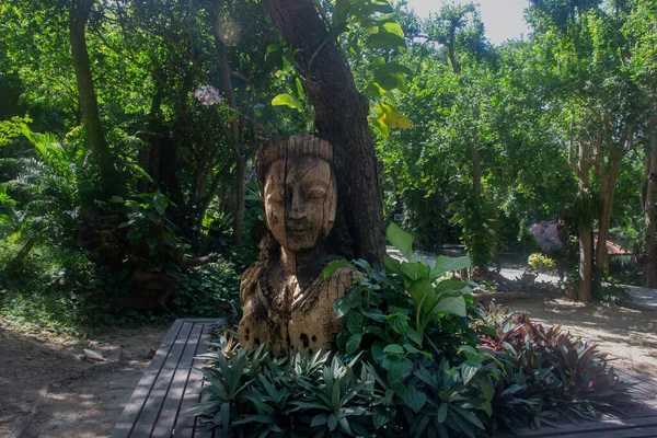 Estatua Buda Madera Entre Las Plantas Cabeza Del Buda Naturaleza — Foto de Stock