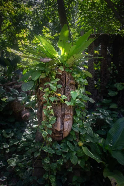 Wooden buddha statue among plants, the head of the Buddha in nature, Pattaya, Thailand
