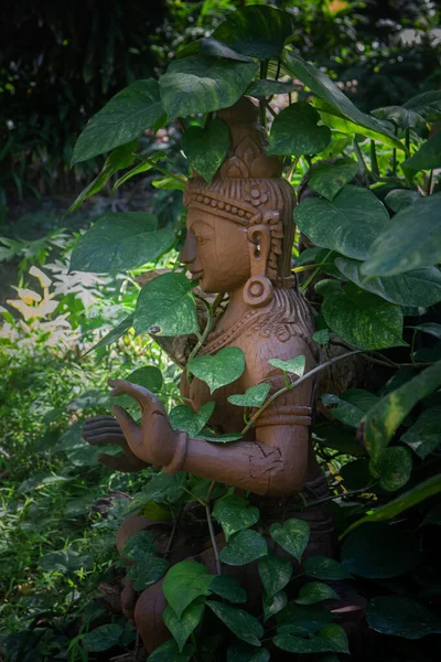 Estatua Buda Madera Entre Plantas Buda Naturaleza Pattaya Tailandia Meditación — Foto de Stock