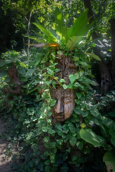 Drewniany Posąg Buddy Wśród Roślin Głowa Buddy Naturze Pattaya Tajlandia — Zdjęcie stockowe