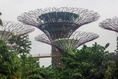 Singapur Şehri, Singapur - 14 Ocak 2023: Körfez kenarındaki Gardens 'taki Supertrees. Körfez kenarındaki bahçeleri keşfeden turistler