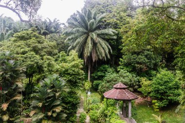 Kuala Lumpur, Malezya - 26 Ocak 2023: Perdana Botanik Bahçeleri. Resmi olarak Lake Gardens olarak bilinen bahçe.