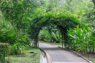 Kuala Lumpur, Malezya - 26 Ocak 2023: Perdana Botanik Bahçeleri. Resmi olarak Lake Gardens olarak bilinen bahçe.