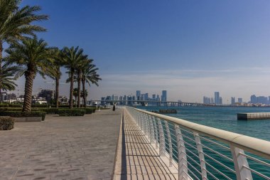 Abu Dabi şehri, palmiye ağaçları ve gezinti güvertesi. Arka planda gökdelenler olan Abu Dabi manzarası.